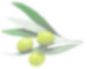 olive2